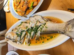-张鸟园农家乐(张鸟园店)