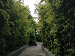 -蓝楹湾度假酒店