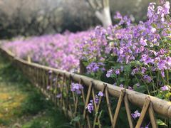 -白塘生态植物园