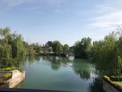 -上海长兴岛郊野公园