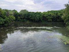 -昆山城市生态森林公园