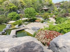 -上海吴淞炮台湾国家湿地公园