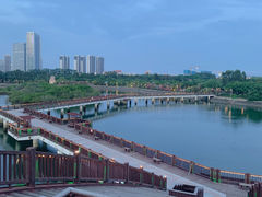 -五缘湾湿地公园