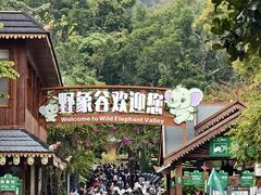 -野象谷景区