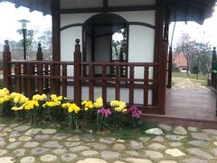 -东莞植物园