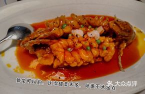 Squirrel Deep-Sea Sea Bass