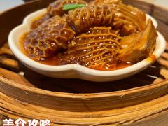-点都德·毕德寮