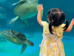 -海合安成都极地海洋公园