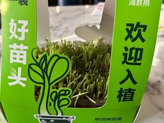 -海底捞火锅(奥体南路店)