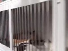 -萌兽医馆·眼科·异宠专科(三里屯店)