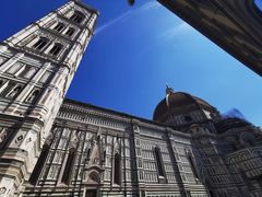 -圣母百花大教堂穹顶