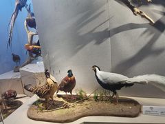 -长江文明馆