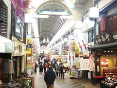 -有栖山 清光院 清水寺