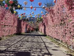 -北京凤凰岭