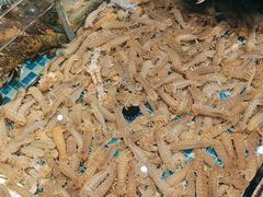 -南海底小海鲜·湘菜(鲁巷吴家湾店)