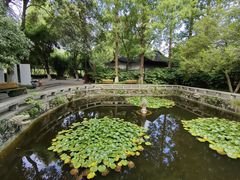 -红梅公园