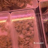 来买麻辣鸡都是现称现拌，干净卫生的食材