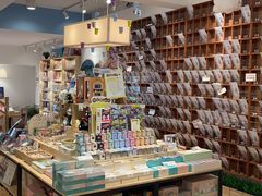 -猫的天空之城概念书店(束河店)