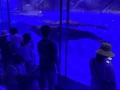 -上海海昌海洋公园-冰山北极馆
