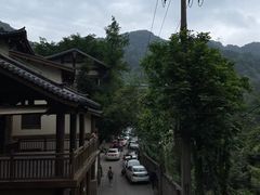 -南山植物园