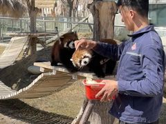 -水上乐园·欢乐世界