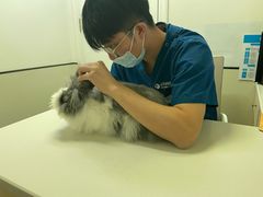 -爱诺耐芙动物医院(万博店)