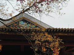 -顺峰山公园