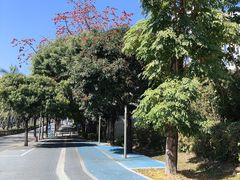 -深圳市人才园(深南大道店)