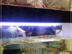 水产区-徐记海鲜(阿波罗店)