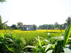 -洪湖家庭农场·团建·露营·会议