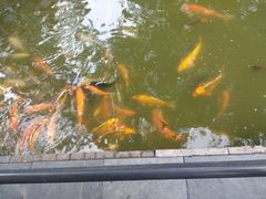 -珠海圆明新园