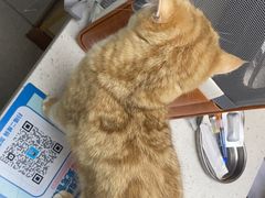 -宠颐生宠物医院·心肾内科·猫专科诊疗中心宠巢店