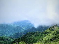 -秦岭风景区