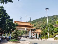 -深圳仙湖植物园