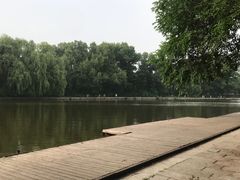 -北陵公园