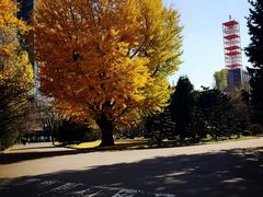 -北海道厅旧本厅舍(旧本庁舎)