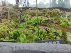 -国家植物园南园