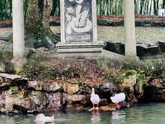 -兰亭风景区