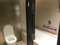 -新加坡瑞士史丹福酒店