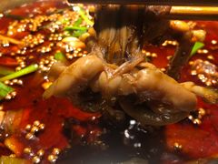 -宽口美蛙鱼头(大唐西市店)
