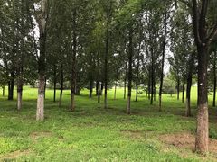 -东郊湿地公园