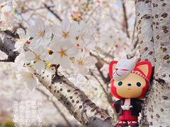 -高东镇樱花园