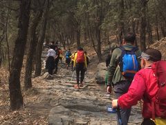 -阳台山自然风景区