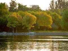 -大兴滨河森林公园