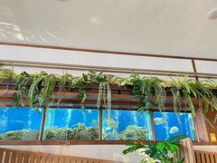 -珍宝海鲜JUMBO Seafood(ifc店)