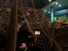 -青岛嘉年华主题乐园