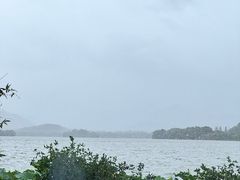 -湖畔居茶楼(湖滨店)