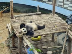 -大连森林动物园