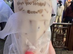 -猫的魔法密林(衣裳街店)