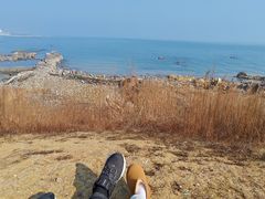 -小麦岛公园